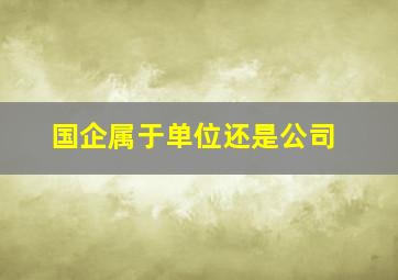 国企属于单位还是公司