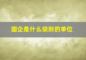 国企是什么级别的单位