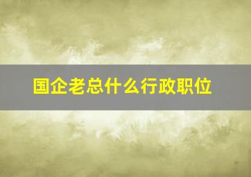 国企老总什么行政职位