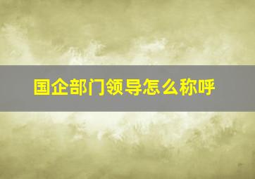 国企部门领导怎么称呼