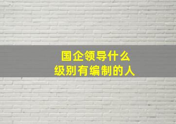 国企领导什么级别有编制的人