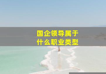 国企领导属于什么职业类型