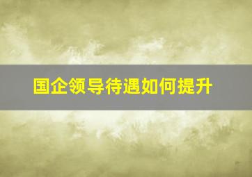 国企领导待遇如何提升