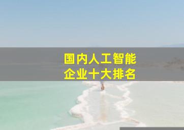 国内人工智能企业十大排名