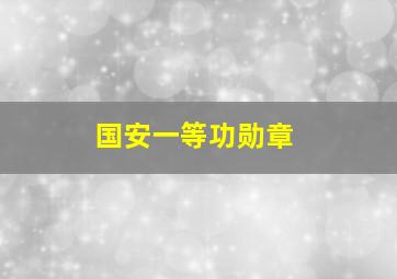 国安一等功勋章