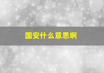 国安什么意思啊