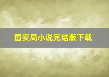 国安局小说完结版下载