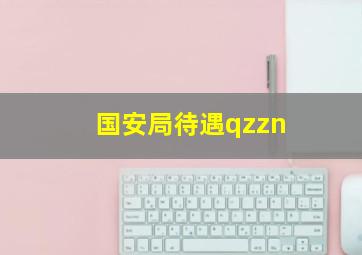 国安局待遇qzzn