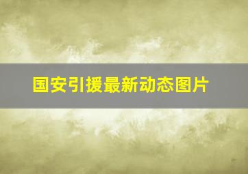 国安引援最新动态图片