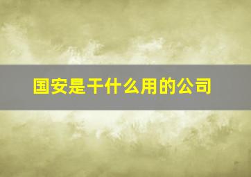 国安是干什么用的公司