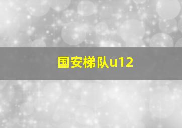 国安梯队u12