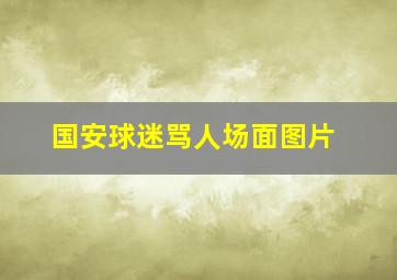 国安球迷骂人场面图片