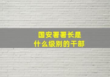 国安署署长是什么级别的干部