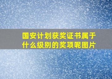 国安计划获奖证书属于什么级别的奖项呢图片