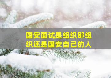 国安面试是组织部组织还是国安自己的人