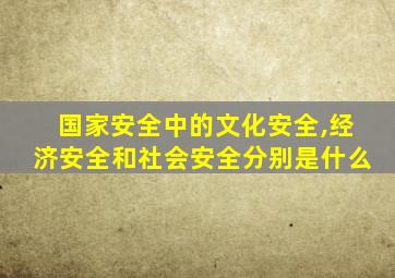 国家安全中的文化安全,经济安全和社会安全分别是什么