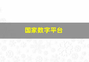 国家数字平台