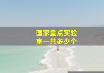 国家重点实验室一共多少个