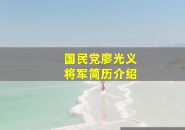 国民党廖光义将军简历介绍