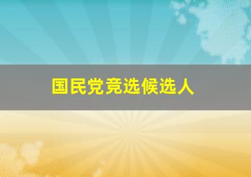 国民党竞选候选人