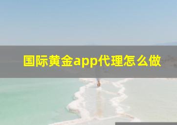 国际黄金app代理怎么做