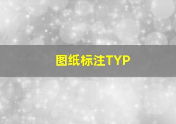 图纸标注TYP