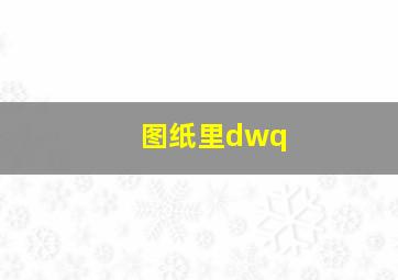 图纸里dwq