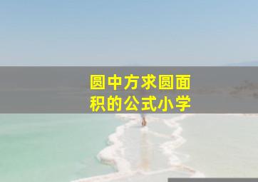 圆中方求圆面积的公式小学