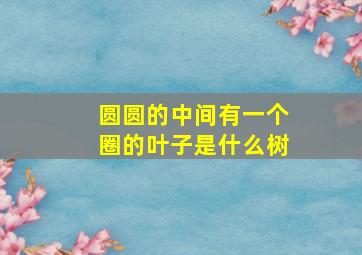 圆圆的中间有一个圈的叶子是什么树