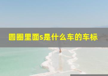 圆圈里面s是什么车的车标