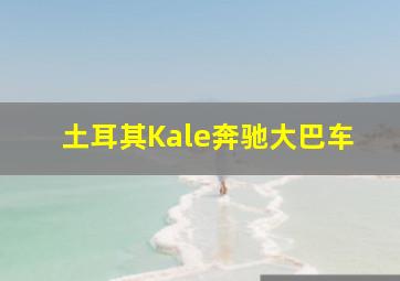 土耳其Kale奔驰大巴车