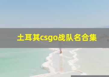 土耳其csgo战队名合集