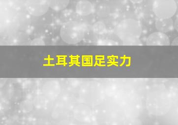 土耳其国足实力