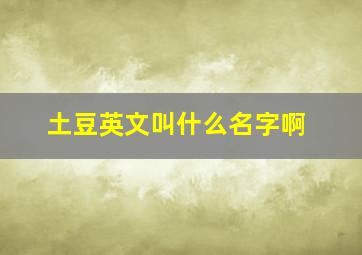 土豆英文叫什么名字啊