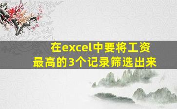 在excel中要将工资最高的3个记录筛选出来