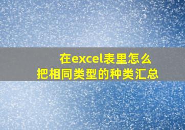 在excel表里怎么把相同类型的种类汇总