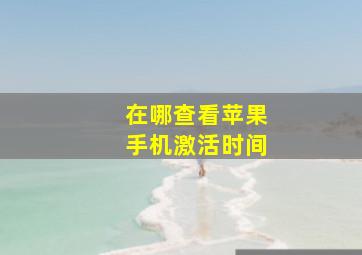 在哪查看苹果手机激活时间