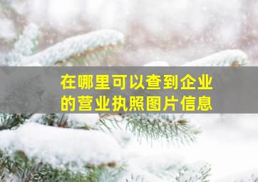 在哪里可以查到企业的营业执照图片信息