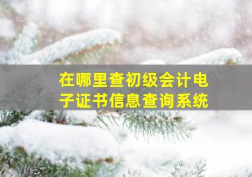 在哪里查初级会计电子证书信息查询系统