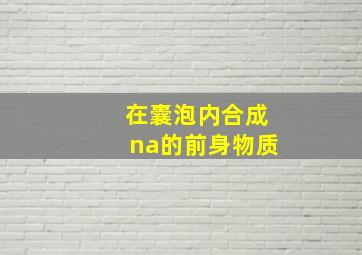 在囊泡内合成na的前身物质