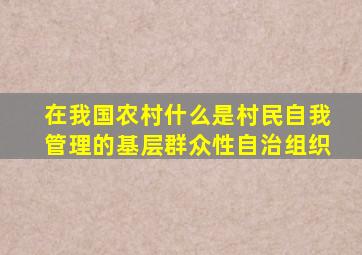 在我国农村什么是村民自我管理的基层群众性自治组织