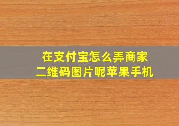 在支付宝怎么弄商家二维码图片呢苹果手机