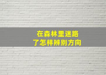 在森林里迷路了怎样辨别方向