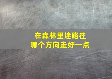 在森林里迷路往哪个方向走好一点