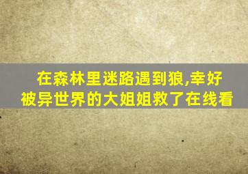 在森林里迷路遇到狼,幸好被异世界的大姐姐救了在线看