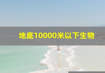 地底10000米以下生物