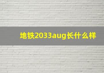 地铁2033aug长什么样