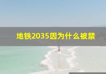 地铁2035因为什么被禁