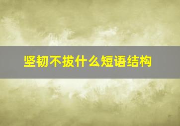 坚韧不拔什么短语结构