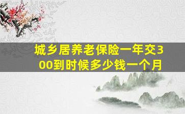 城乡居养老保险一年交300到时候多少钱一个月